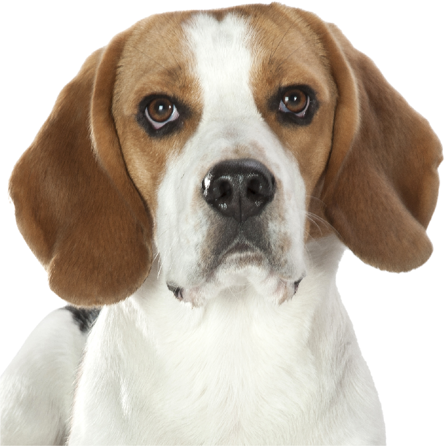 Good, better and best solutions