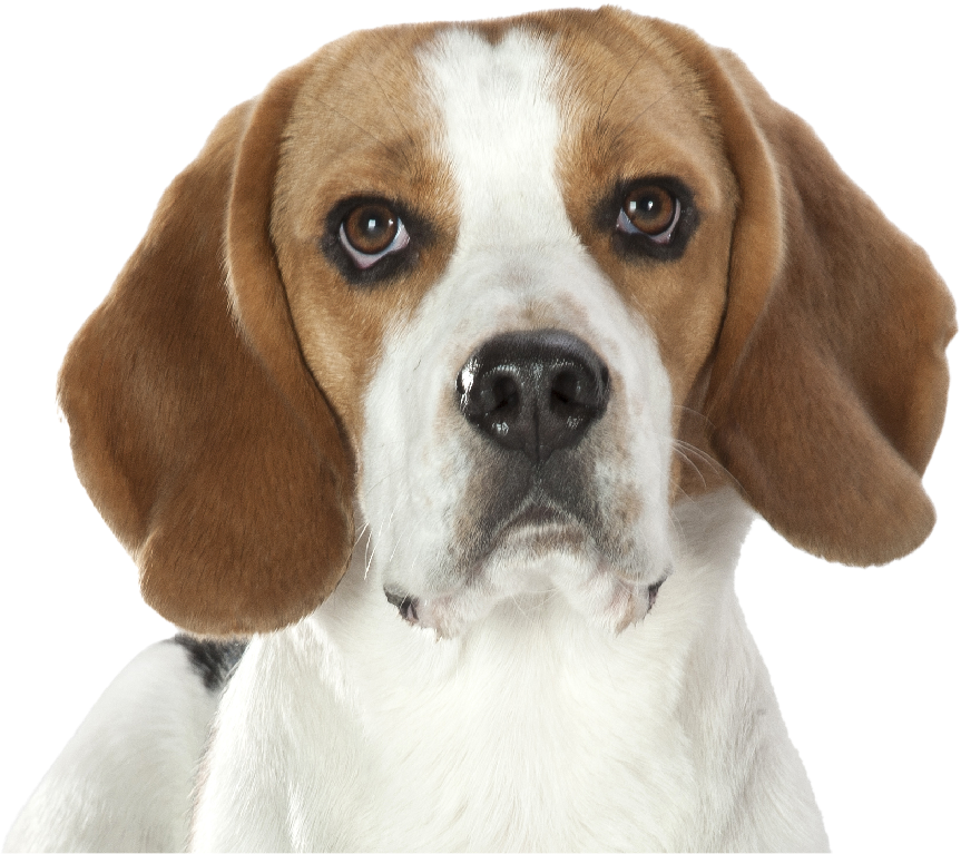 Good, better and best solutions