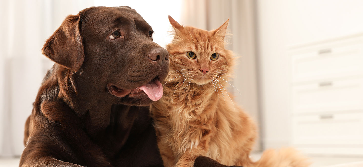 Protection you can trust.