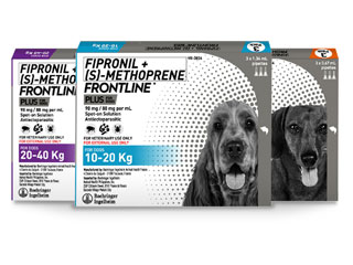 Frontline Plus for Dogs
