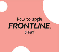 How to Apply